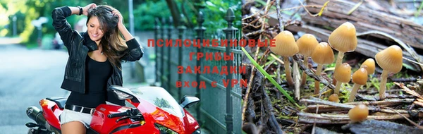 гашиш Магадан